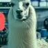 Файнтюнинг и квантизация Llama 3 70B