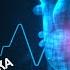 Фрагментация QRS ЭКГ высокого риска Определение механизмы возникновения клиническое значение