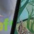 Обзор Kindle Colorsoft Paperwhite 6 и Kindle 2024