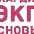 Введение в ЭКГ основы