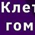Гомотопическая топология 12 Клеточные гомологии