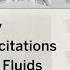 Leonid Levitov Long Lived Excitations In 2D Electron Fluids