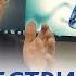 HLA система и HY рестрикция Рассказывает Гузов И И