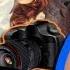 Что такое TFP или как пофотографироваться бесплатно