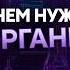 Чем занимаются неорганики Подкаст с преподавателем химфака МГУ Alles