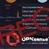 Селективный роутинг WG на Opnsense