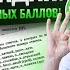 ВСЕ задания 9 10 11 12 13 14 15 ЕГЭ 2026 Русский язык ОРФОГРАФИЯ Умскул