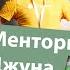 Эксперимент Менторим джуна Сергея с Русланом Жубой