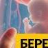Новые репродуктивные технологии И другие техно новости