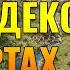 Внедрение SEO оптимизации в Яндекс карты для кратного роста в поисковой выдаче