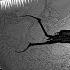 SILT Full Game Undersea Horror Possess Sea Monsters To Survive Avoid Being Eaten