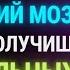 У вас редчайший мозг если вы ответите правильно на 3 вопроса