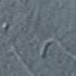 Motor Protein Driven Transport Of Microtubules