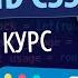 Tailwind CSS ПОЛНЫЙ КУРС Bro Proger