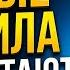 Почему привычный путь в IT перестал давать прежний результат