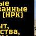 Наземные роботизированные комплексы НРК Мой опыт преимущества проблемы